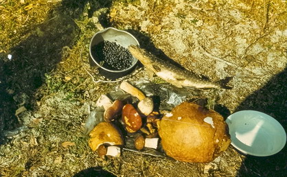 scan0379.jpg