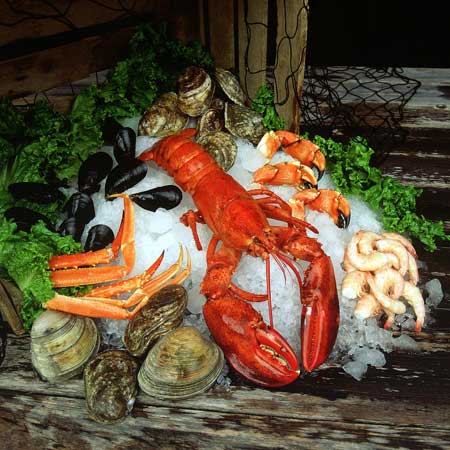 seafood_spread.jpg