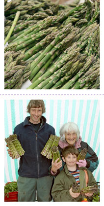 asparagus.jpg