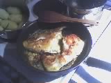 05_05_06_2007.jpg