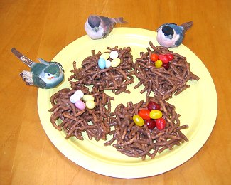 BIRDNEST.JPG