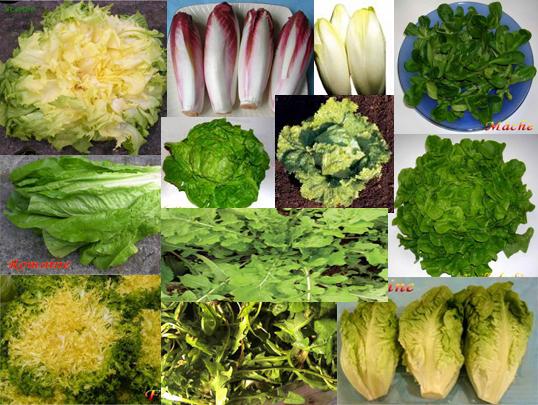 salade.jpg