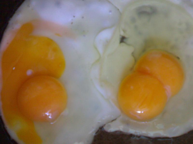 27052008736.JPG