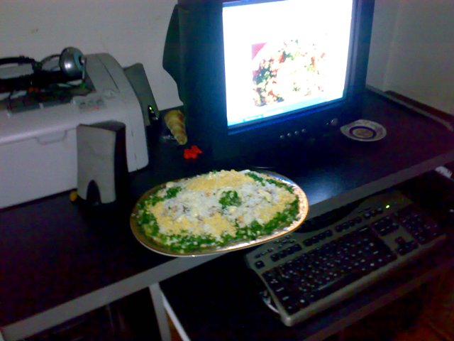 Copy_of_15062008150.jpg