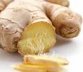 ginger.jpg