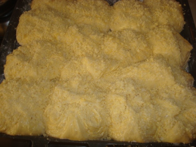 DSC08878.JPG