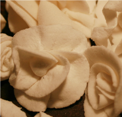 rose_natia.jpg