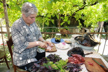 Picture_271gias_ostri.jpg