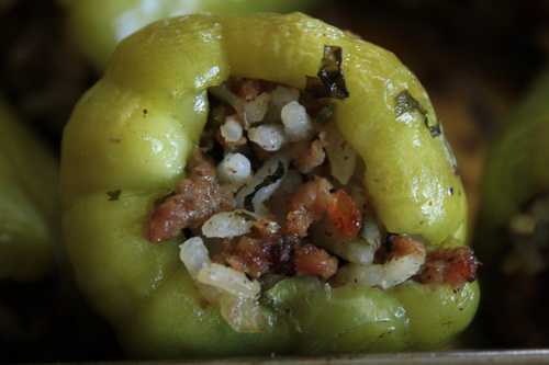 cicaka1.jpg