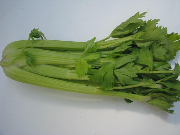 1213871471_seler_naciowy.jpg