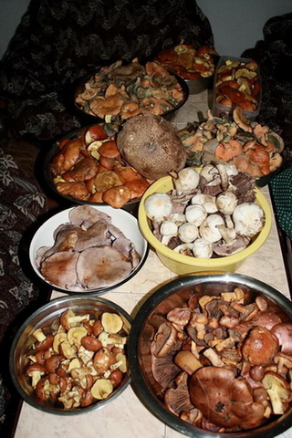 Picture_032.jpg