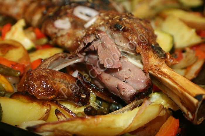 lambfor.JPG