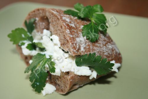 SWricotta1.JPG
