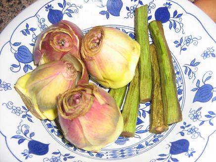 Immagine_959.jpg