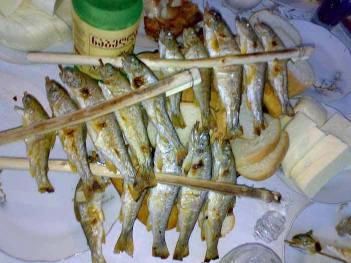 08092008811.jpg