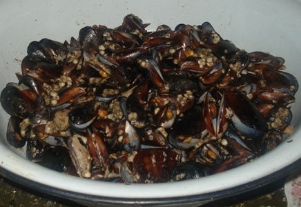 DSC00026.JPG