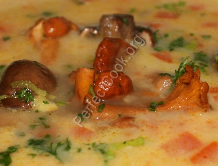 soupGermanMachroomPort.jpg