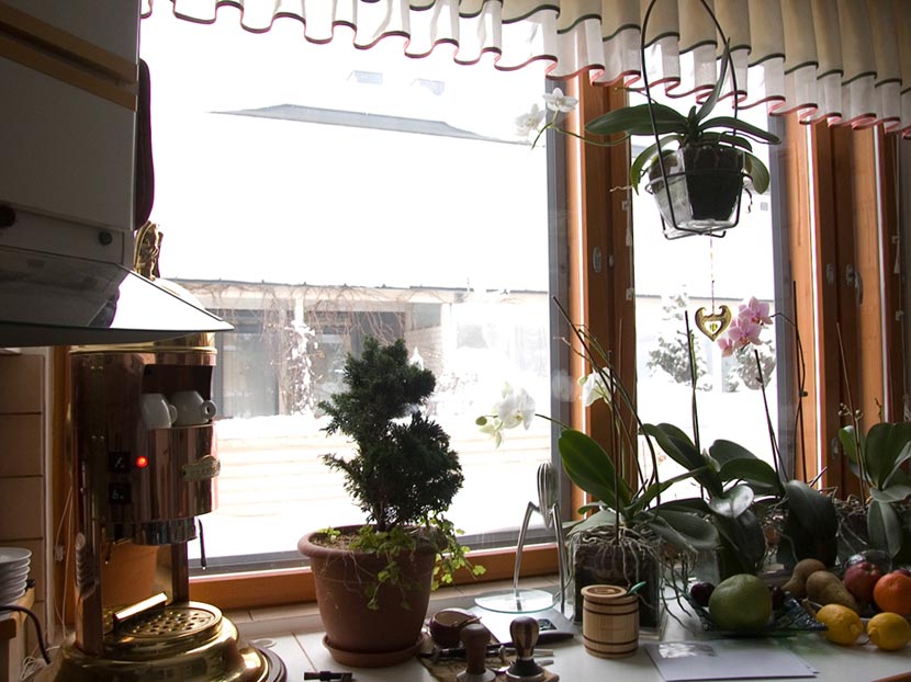 julu_2010.jpg