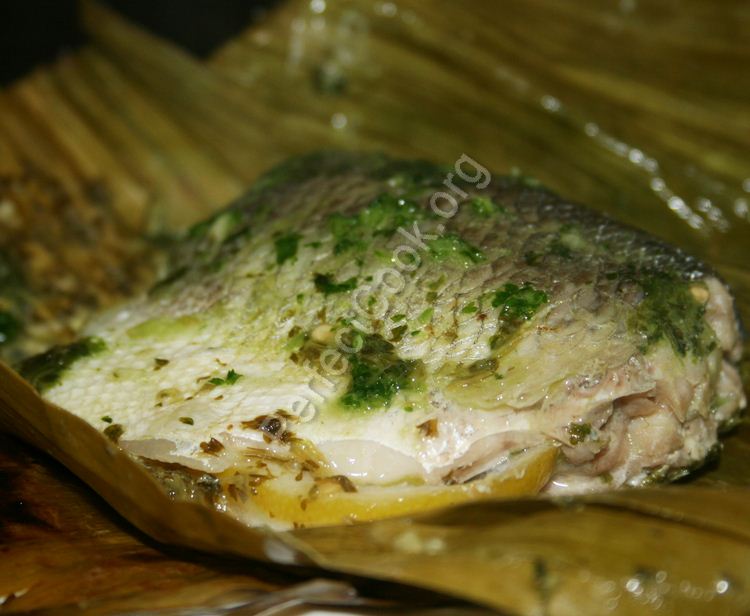 BasPalma1.jpg