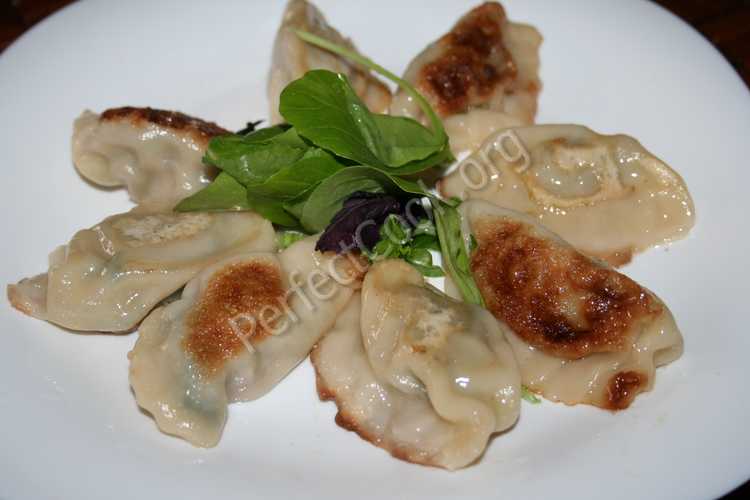 gyoza1.JPG