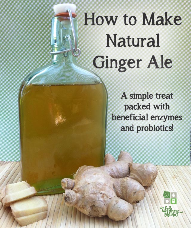 How_to_make_natural_ginger_ale_a_healthy_and_delicious_treat_full_of_probiotics_and_enzymes.jpg