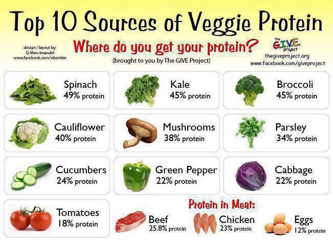 protein.jpg