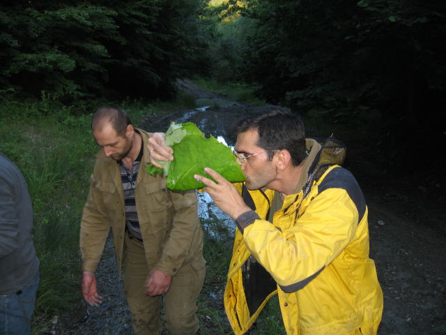 image0007_2263_.jpg