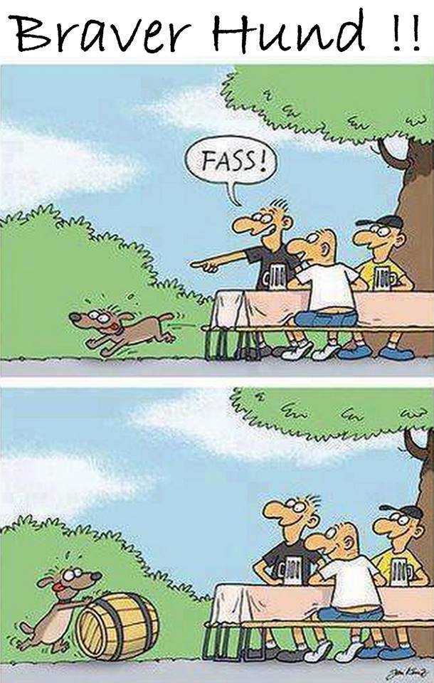braver_hund.jpg