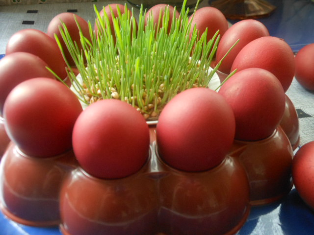 DSCN4115.jpg
