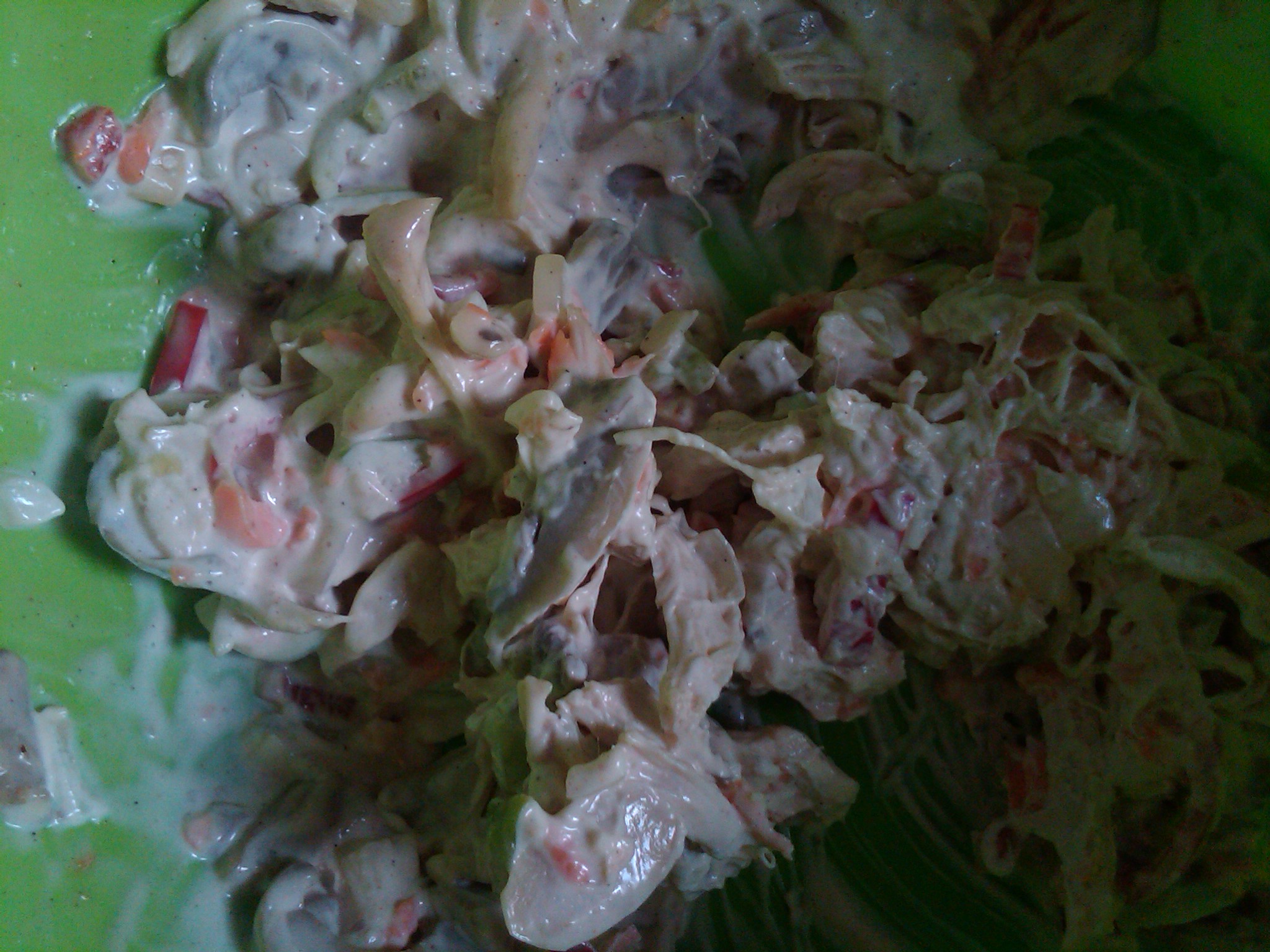 IMG00101_20150730_1035.jpg