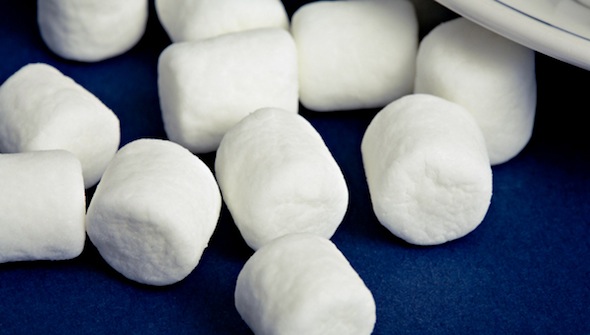champagne_marshmallows.jpg
