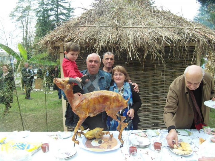 thumb_l_6thoneshi_shemcvar_cikanthan_saaro_moxeleebi_bavshvebthan_erthad_pozireben.jpg