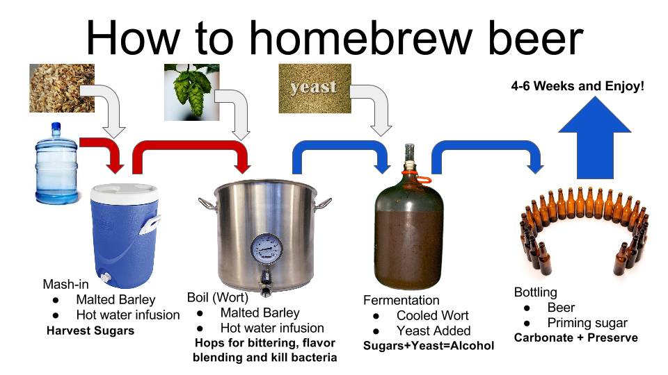 HowToHomeBrewBeer.png