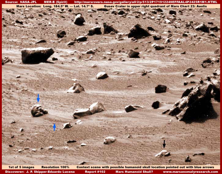1_102_skull_context_view.jpg
