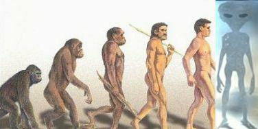 evolution_singe_homme.jpg