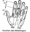 hand.gif