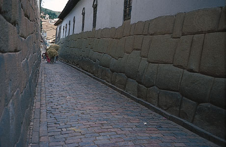 7874_004_47C60789.jpg