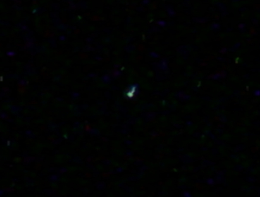 sshot_2.jpg