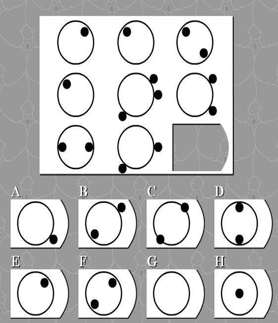 Picture1.jpg