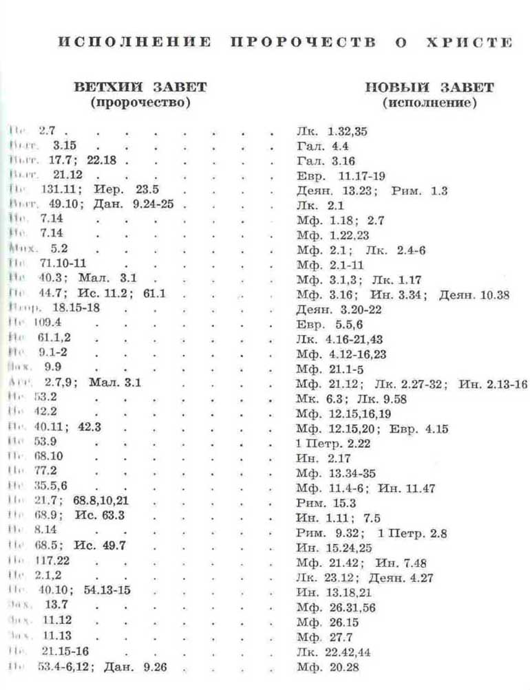 Bibel5.jpg