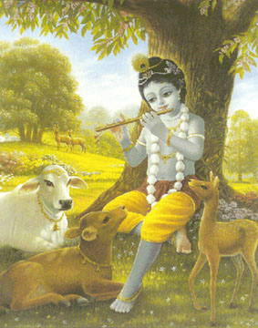 krishna.jpg