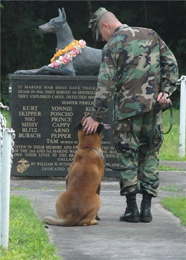 war_dog_memorial.jpg