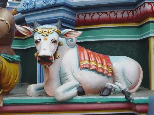Nandi_at_corners_1.jpg