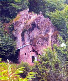 tadzari.jpg