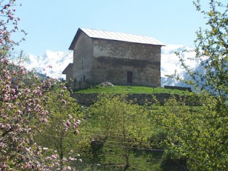 100_6633.jpg