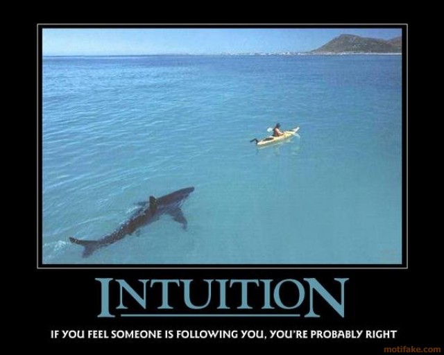 intuition2.jpg