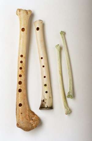 swanbone_flutes.jpg