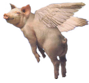 Flying_Pig.jpg