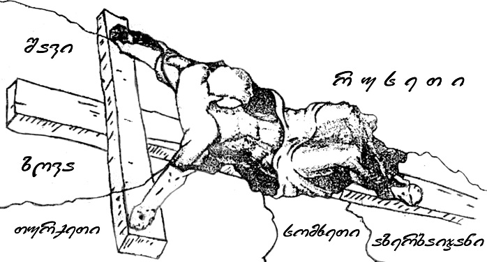 jvarcma33.jpg