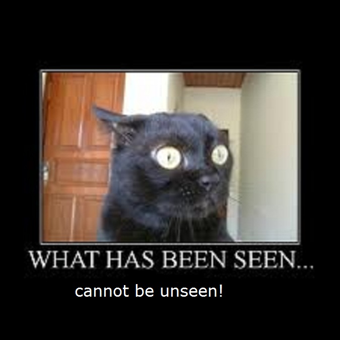 Black_Cat.jpg